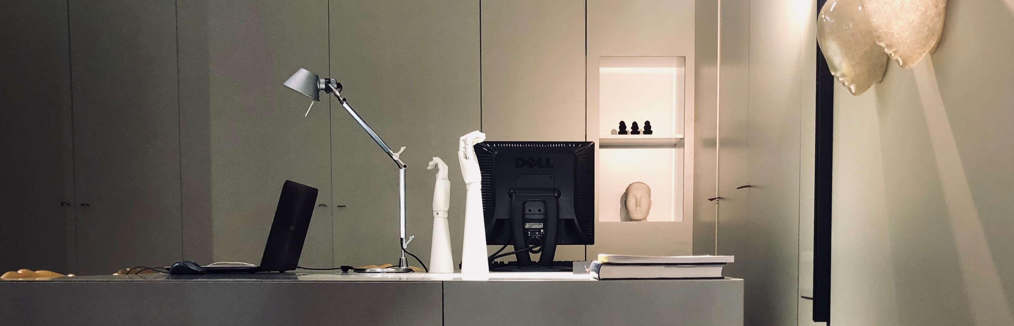 CERVUS - Concept & Decoration