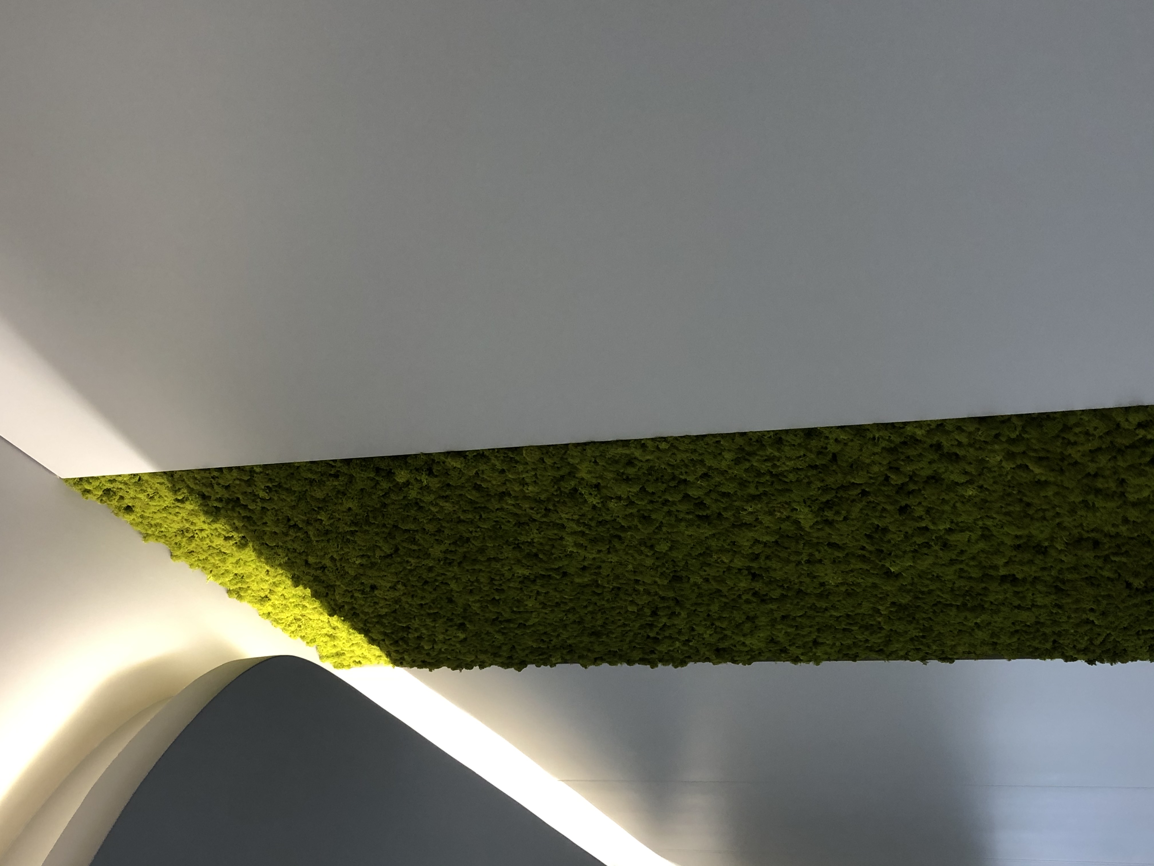 CERVUS - Concept & Decoration